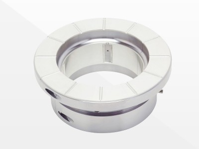 Babbitt kannab põõsast